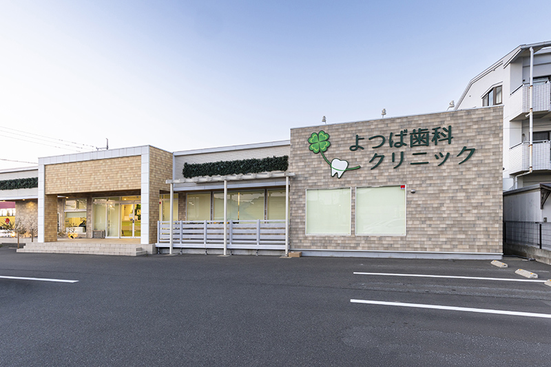 基本情報